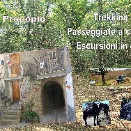 Troina Affitta Camere San Procopio מראה חיצוני תמונה